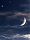 # 폰배경 - 1